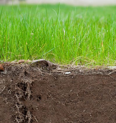 organic fertilizers and pesticides
