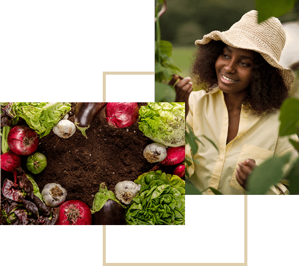 mazao extra services and products