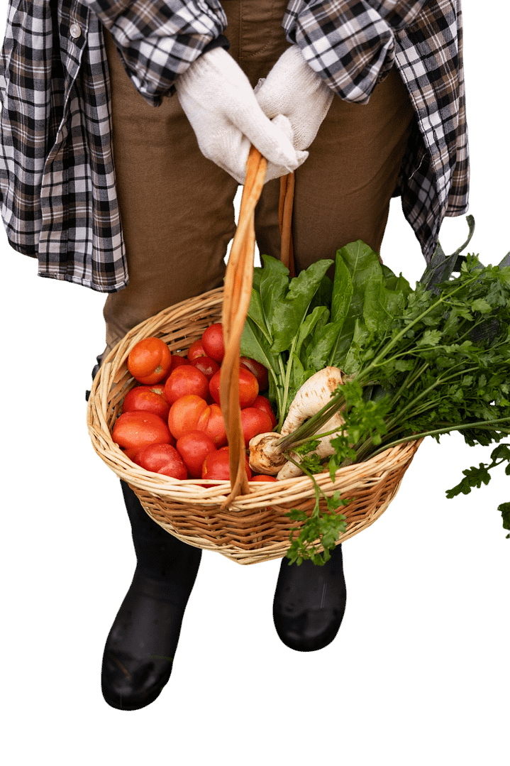 mazao extra organic fertilizer