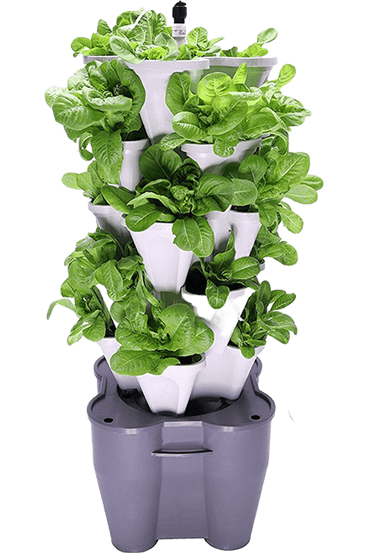 vertical garden design and installation
